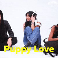 Girl Group Dog GIF by BuzzFeed