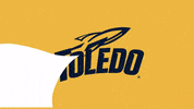 Double Play GIF by Toledo Rockets