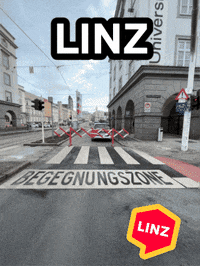 Police Nachrichten GIF by Linz News