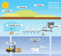 Cbd Hemp GIF by Dutchnaturalhealing