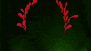 Anthony Kiedis Flea GIF by Red Hot Chili Peppers