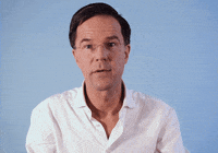 Mark Omg GIF by VVD
