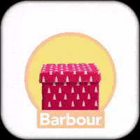 Surprise GIF by BarbourHK