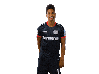 Bayer 04 Yes Sticker by Bayer 04 Leverkusen