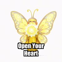 Buddhafly Character GIF by BuddhaFlyJourney