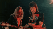 surprised red rose speedway GIF by Paul McCartney