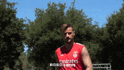 Sl Benfica Slbgifs GIF by Sport Lisboa e Benfica