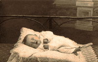 halloween sleeping by GIF IT UP