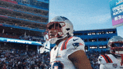 Super Bowl Football GIF by New England Patriots