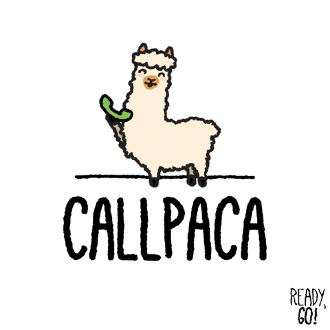 A-llama-maybe GIFs - Get the best GIF on GIPHY