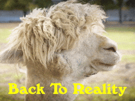 Youre Back Good Morning GIF by Sealed With A GIF