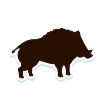 Logo Wk Sticker by wksklep