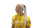 Floorball Salibandy Sticker by F-liiga