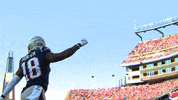 Happy Lets Go GIF by New England Patriots