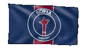 Football Psg Sticker
