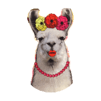 Flower Sticker by imoji