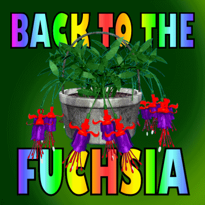Back To The Future Flowers GIF