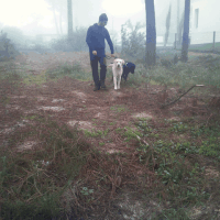 feliz abanaacauda GIF