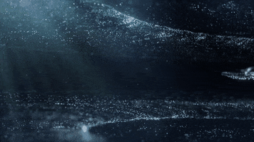 Credits Insult GIF by Smoke & Bacon Media LLC