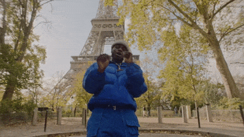 France Party GIF by RCA Records UK