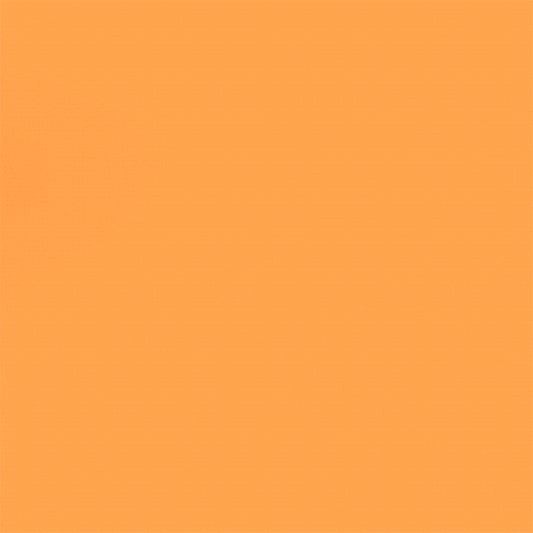 fun render GIF by somenerv