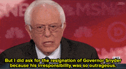 bernie sanders news GIF