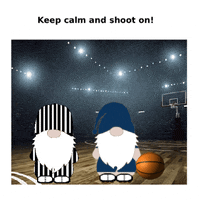 Sport Basketball GIF