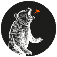 Gymkuma kuma gymkuma kumanation beabear Sticker