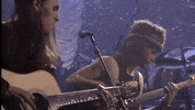 jeff ament GIF by Pearl Jam