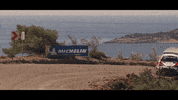 GIF by Showdown Management