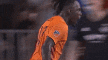 Major League Soccer Football GIF by Houston Dynamo