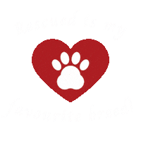 Ditrr Sticker by Diamond In The Ruff Rescue
