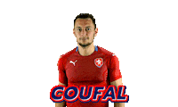 Czech Republic Ceskarepre Sticker by 2score