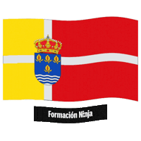Flag Spain Sticker by Formación Ninja