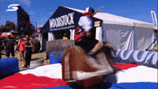 V8 Supercars Lol GIF by Supercars Championship