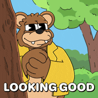 Bear Watching GIF by Franky The Frog
