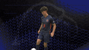 Cnms GIF by Carson-Newman Athletics