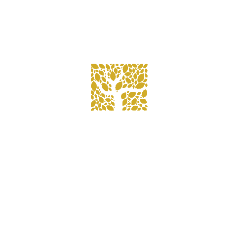 cerradoacabamentos giphyupload arquitetura construcao cerrado Sticker