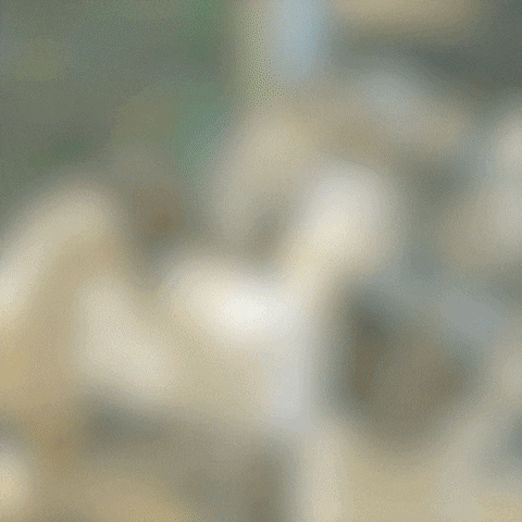 473Music GIF by Santa Fe Klan