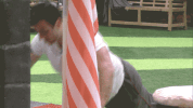bbuk big brother reality tv cbb celebrity big brother GIF