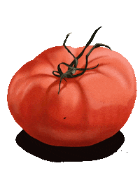 themackart art smile hi tomato Sticker