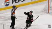 Happy Chicago Blackhawks GIF by NHL