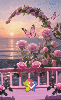 Sol Amigos GIF by Murcianys LLC