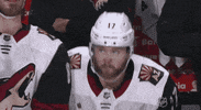 nhl sports sport hockey wave GIF