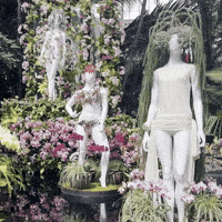 Botanical Garden Fashion GIF by the vizual
