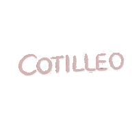 Rosa Noticia Sticker