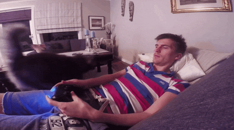 GIF by Mashable