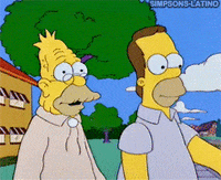 the simpsons GIF