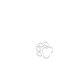 Sticker by 4Legs