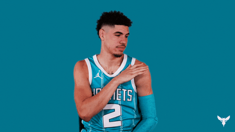Brush Off Lamelo Ball GIF by Charlotte Hornets
